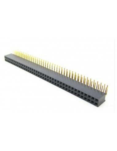 Connector  40x2 Pin ("female")